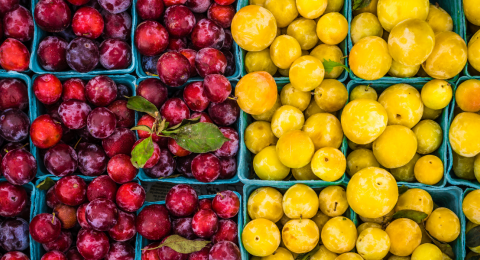 red and yellow plums in green farmers' market containers