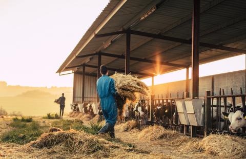 Farmer