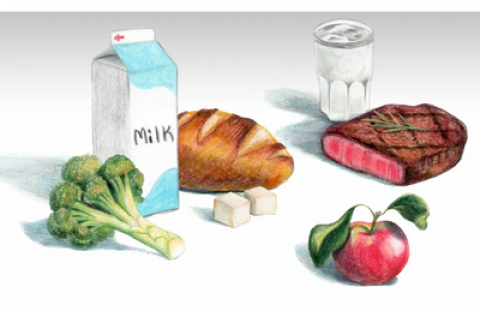 A drawing of a milk carton, steak, sugar cubes, apple, bread and broccoli.