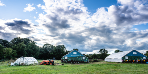 farm landscape