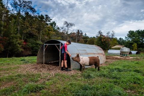 young boy with a pig in a field