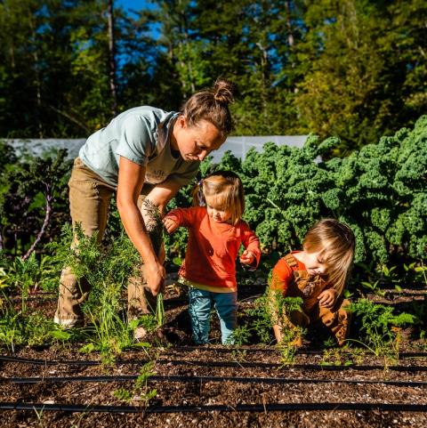 kids working on the farm