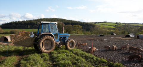tractor in the field